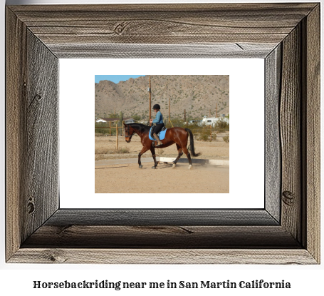 horseback riding near me in San Martin, California